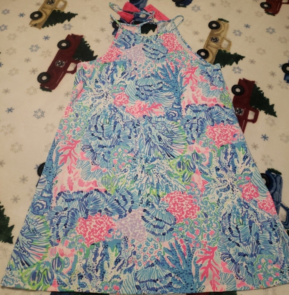 Lilly Pulitzer Blue and Pink Margot Dress